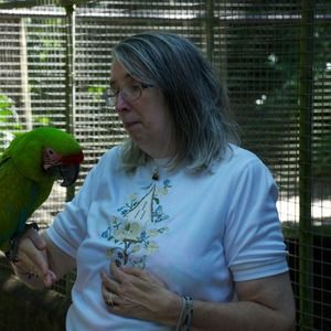 Meet your Posher, Terry